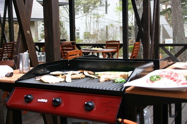 那須ハイランドパーク BBQテラス まつぼっくり2