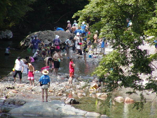 五十沢キャンプ場1