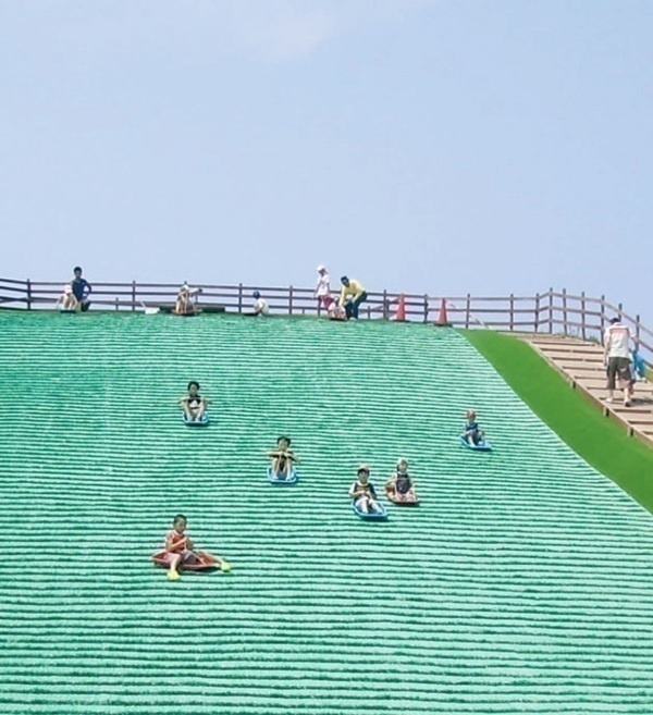 長井海の手公園 ソレイユの丘3