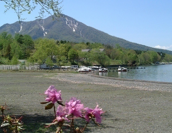 休暇村支笏湖 モラップキャンプ場2