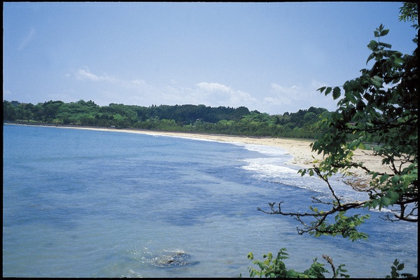 休暇村気仙沼大島キャンプ場4