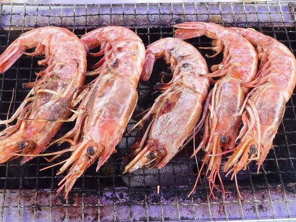 淀川河川公園 西中島地区7