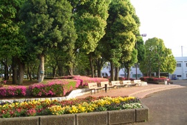 海老名運動公園2