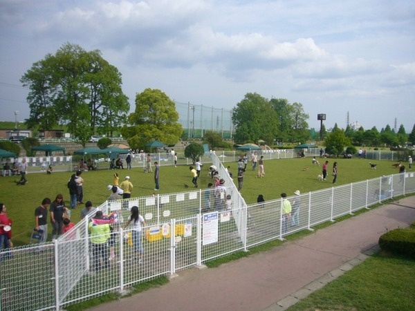 彩湖・道満グリーンパーク4