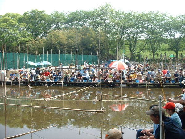 彩湖・道満グリーンパーク5