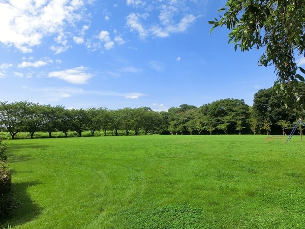 彩湖・道満グリーンパーク7