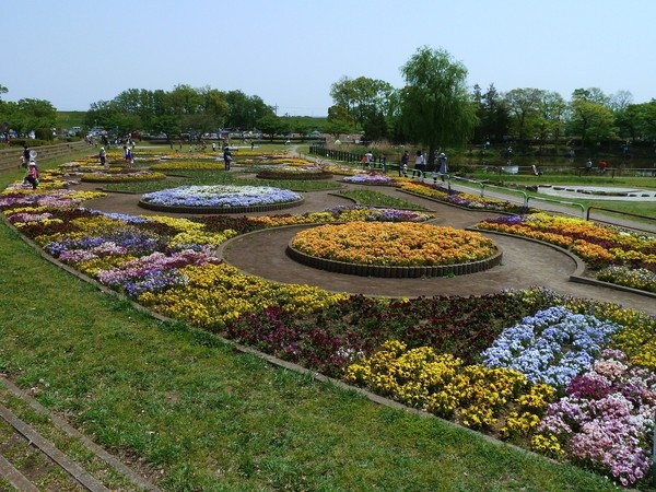 彩湖・道満グリーンパーク8