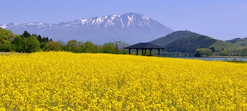 御所湖広域公園 町場地区園地2