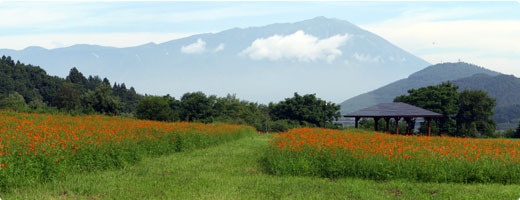 御所湖広域公園 町場地区園地4