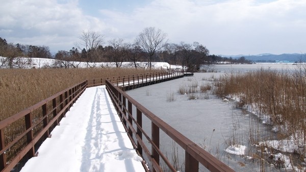 新潟県立大潟水と森公園7