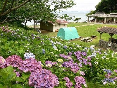 白浜キャンプ場3