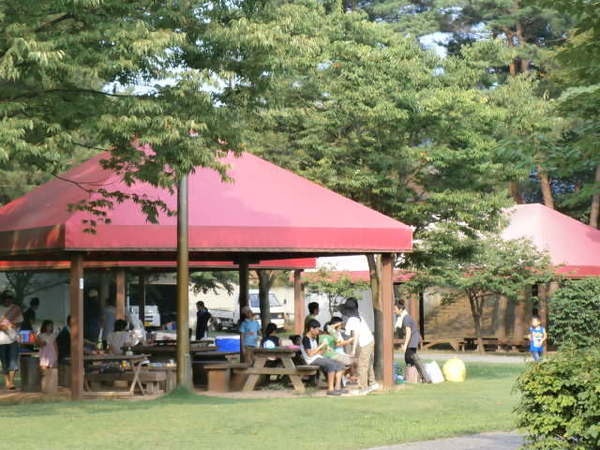 新潟県立紫雲寺記念公園2