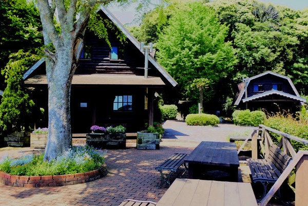 勝浦丘のログコテージ キャプテンズテーブル2