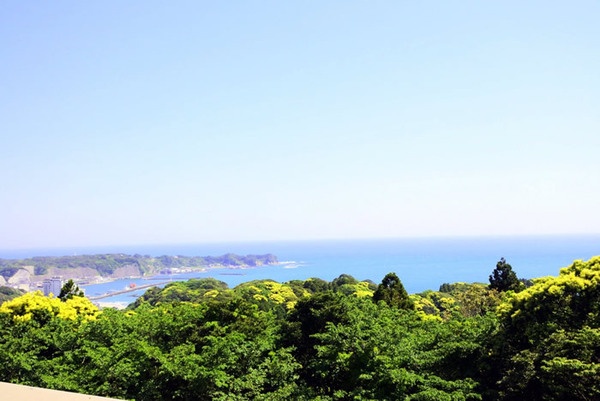 勝浦丘のログコテージ キャプテンズテーブル6