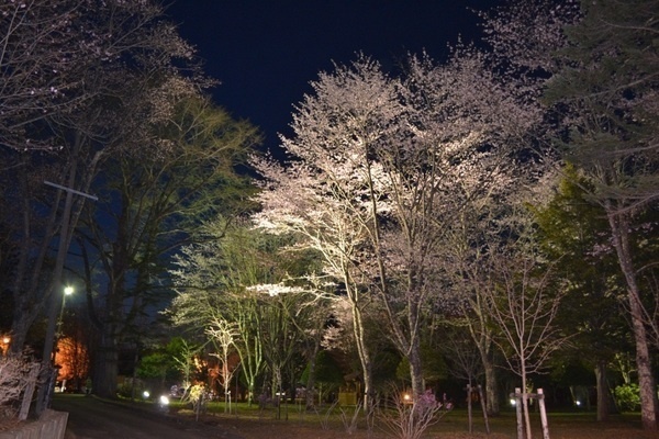 釧路市音別町憩いの森7