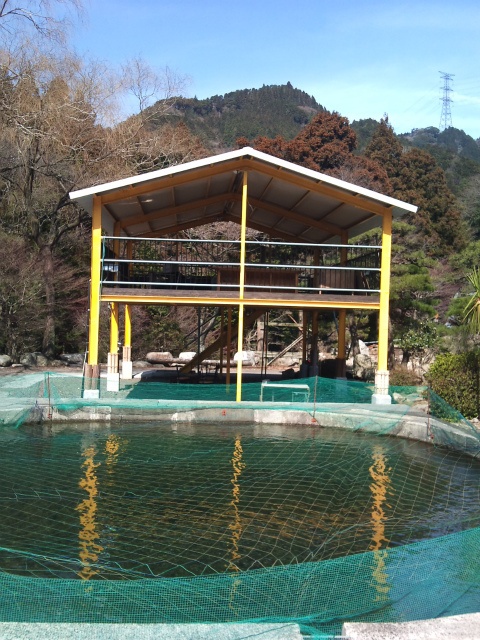 バーベキュー鈴鹿峠5