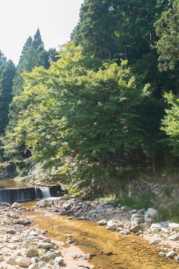 バーベキュー鈴鹿峠7
