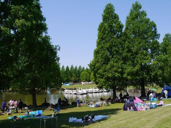 加須はなさき公園4