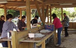 ワイルドキッズ岬オートキャンプ場8