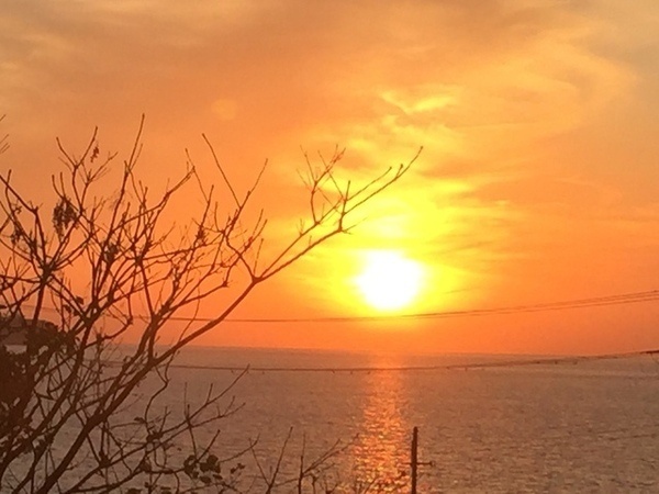 BBQテラス リンクル8