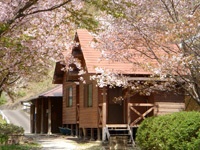 四万十ひろばキャンプ場7