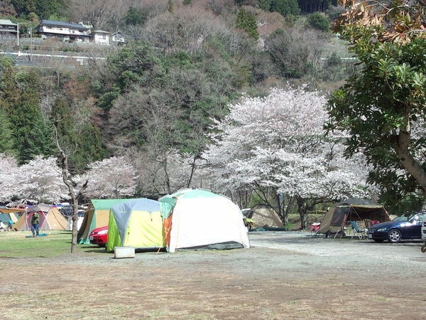 緑の休暇村青根キャンプ場2
