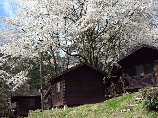 緑の休暇村青根キャンプ場3