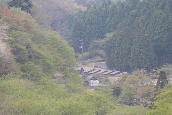 ウェルキャンプ西丹沢2