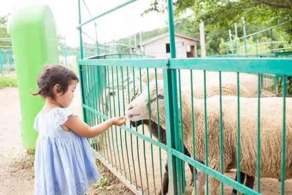 五桂池ふるさと村4
