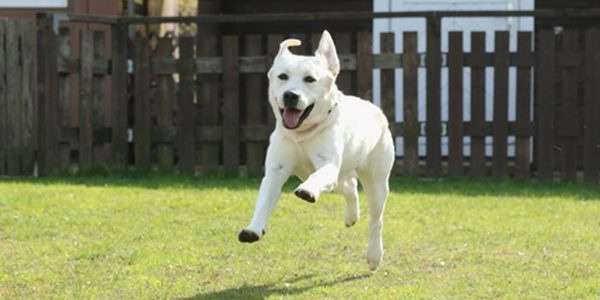 五桂池ふるさと村6