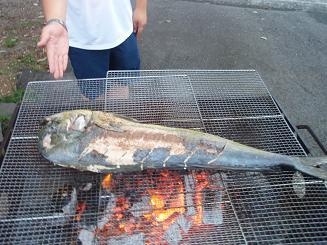 八幡野ダイビングセンター6