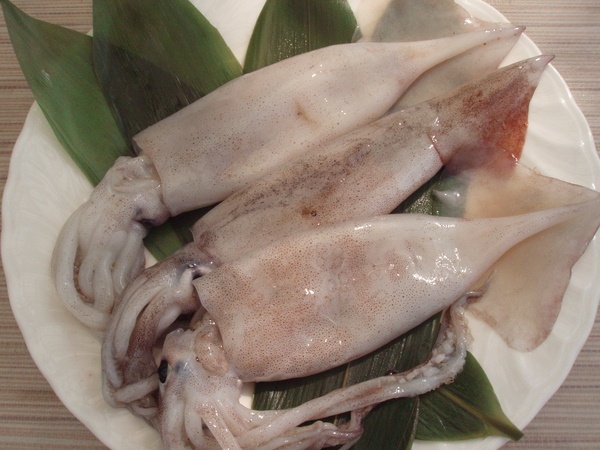 八幡野ダイビングセンター7