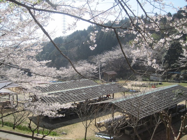 農業公園信貴山のどか村7