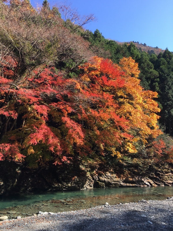 唐沢キャンプ場5