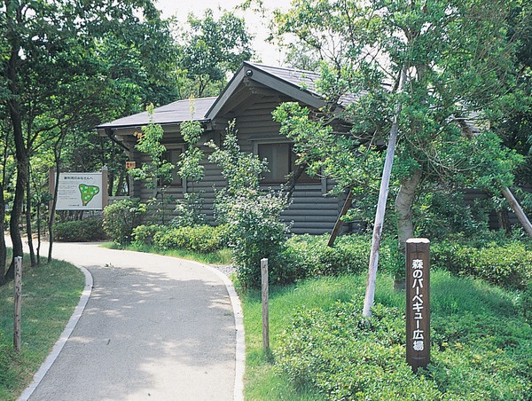 兵庫県立三木山森林公園 森のバーベキュー広場1