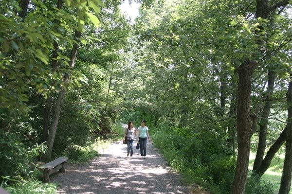 兵庫県立三木山森林公園 森のバーベキュー広場7