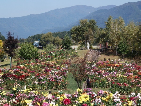 望郷にこにこファーム7