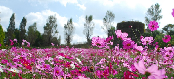 岡山農業公園 ドイツの森クローネンベルク4