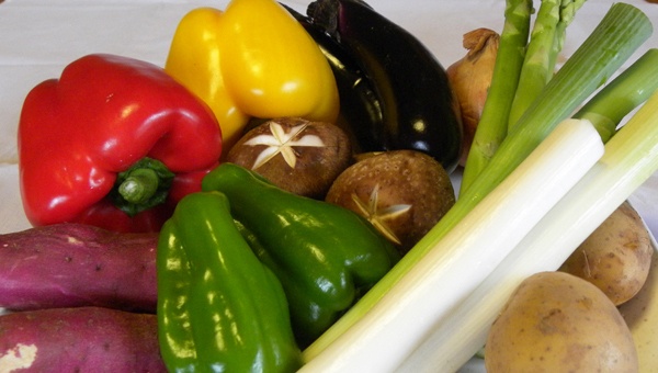 フォレストパーク メロンの森4