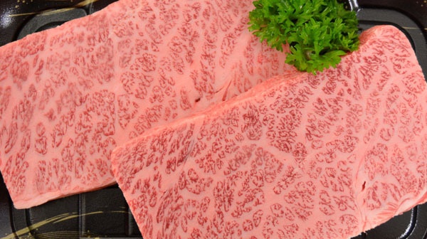 フォレストパーク メロンの森7