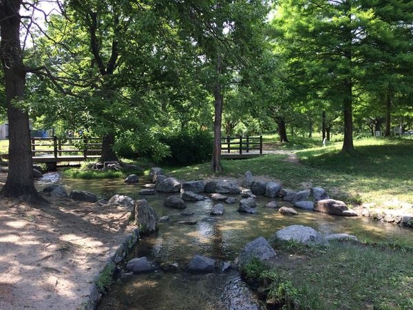 大阪鶴見緑地 緑のせせらぎ東側バーベキュー広場2