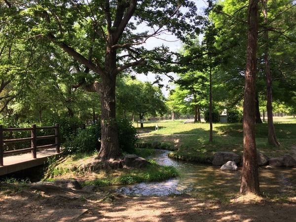 大阪鶴見緑地 緑のせせらぎ東側バーベキュー広場3