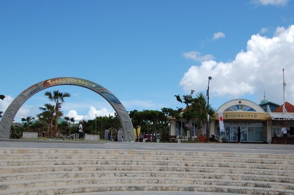 ぎのわん海浜公園 トロピカルビーチ7