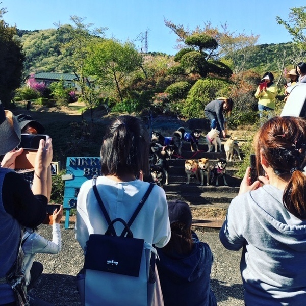 NIKKOEN BBQ＆PARTY GARDEN7