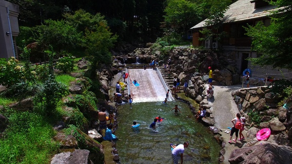 グリーンエコー笠形4