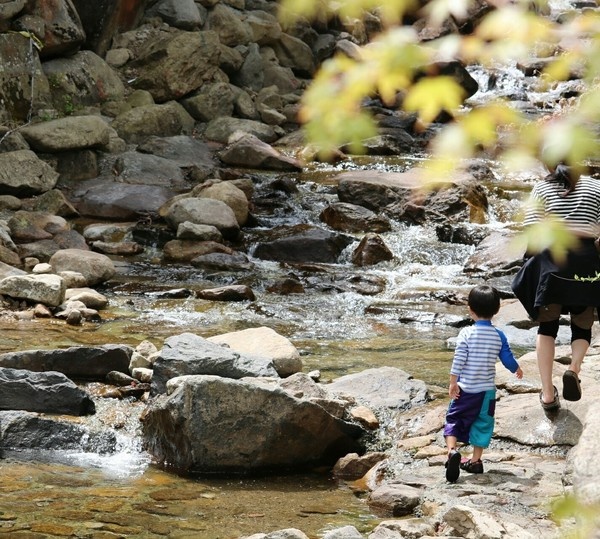 グリーンエコー笠形6