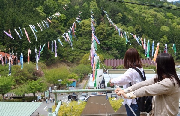 グリーンエコー笠形7