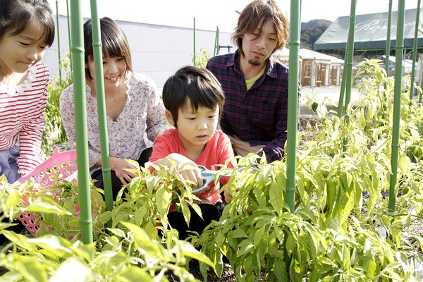 ENGLISH GARDEN ローザンベリー多和田4