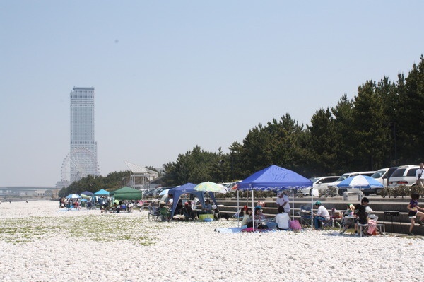 りんくう公園マーブルビーチ2