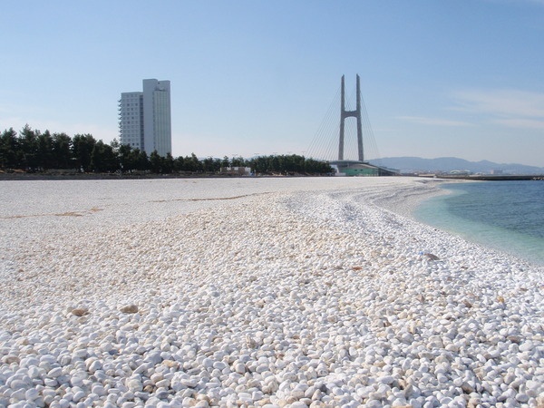 りんくう公園マーブルビーチ3